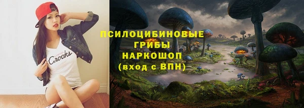эйфоретик Нязепетровск