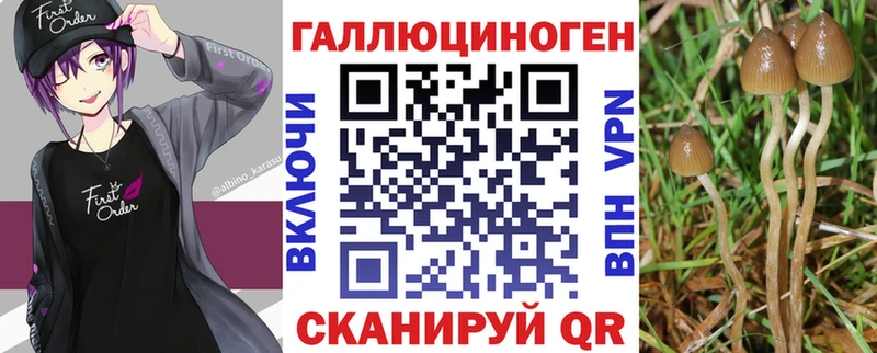 Псилоцибиновые грибы Psilocybine cubensis  даркнет сайт  Стерлитамак 