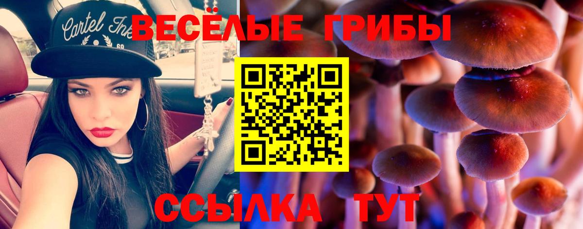 Псилоцибиновые грибы Magic Shrooms  Вход с VPN  Стерлитамак 