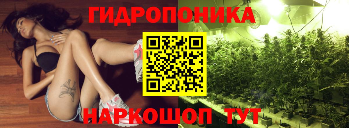 Бошки Шишки OG Kush  Бошки Шишки семена  Вход с VPN  Стерлитамак  Бошки марихуана VHQ 